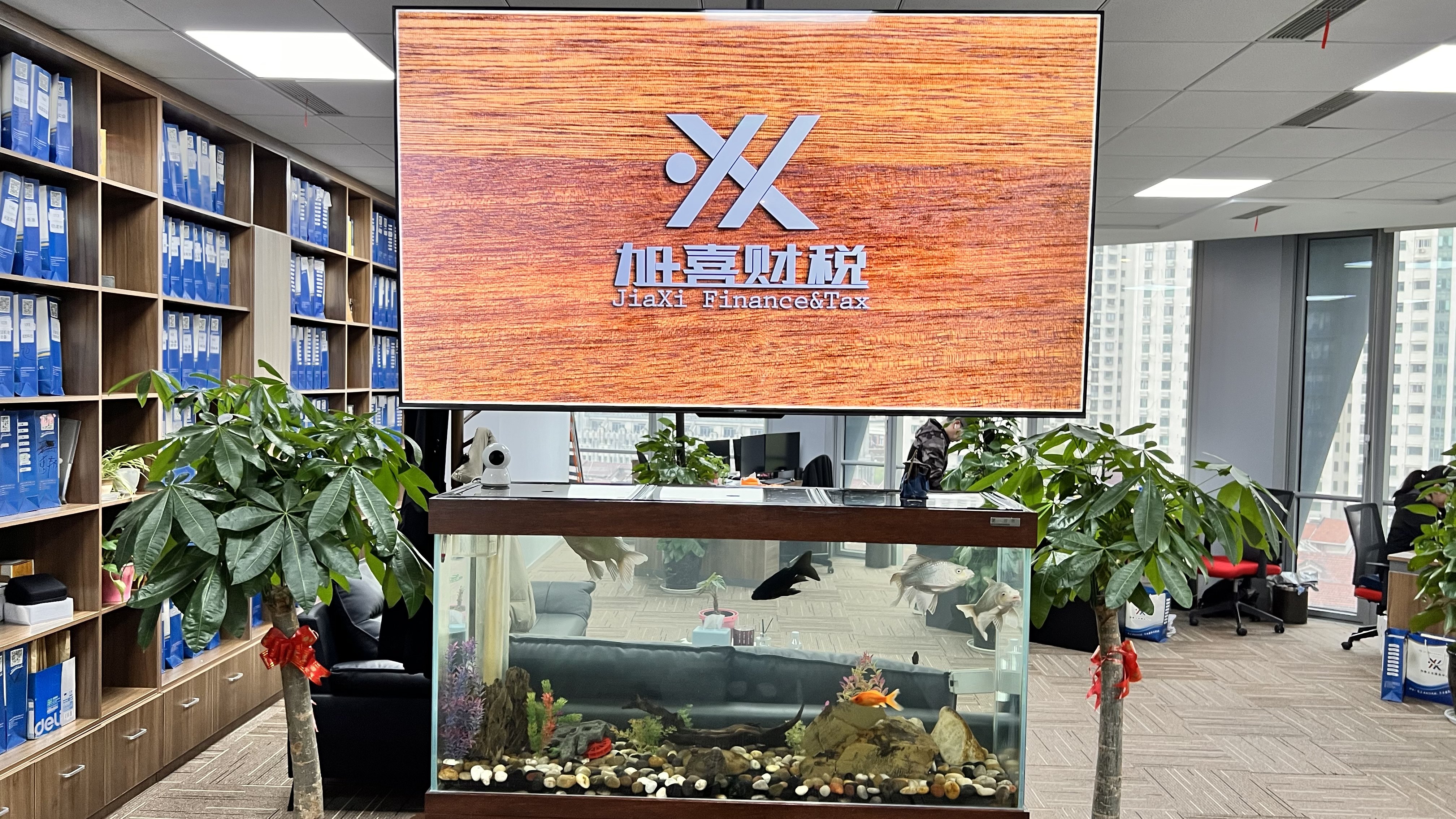 高效专业团队服务